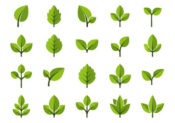 Fototapeta premium A flat design illustration vector featuring twelve different green leaves with black outlines on a white background.