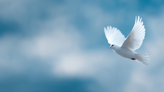 White dove flying against bright blue sky with fluffy clouds, tranquility and spiritual purity concept