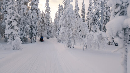 Naklejka premium Winter wonderland adventure in Akaslompolo, Lapland, surrounded by serene, snow-covered forests