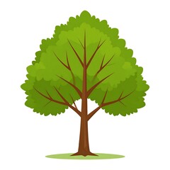 Fototapeta premium Lush Green Tree Illustration - Natures Beauty in Simple Design.