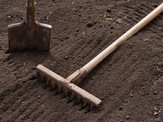 A rake and a shovel rest on freshly tilled soil in a garden, prepared for planting. © rosinka79