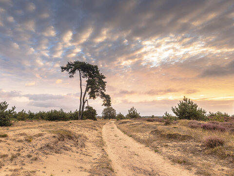 Sunrise over National Park Drents Friese Wold