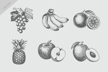 Berries and fruits drawing collection. Hand drawn berry and fruit sketch Mango, apple, banana, pineapple, grapes, orange. Vector illustration. Engraved style. © SAGOR