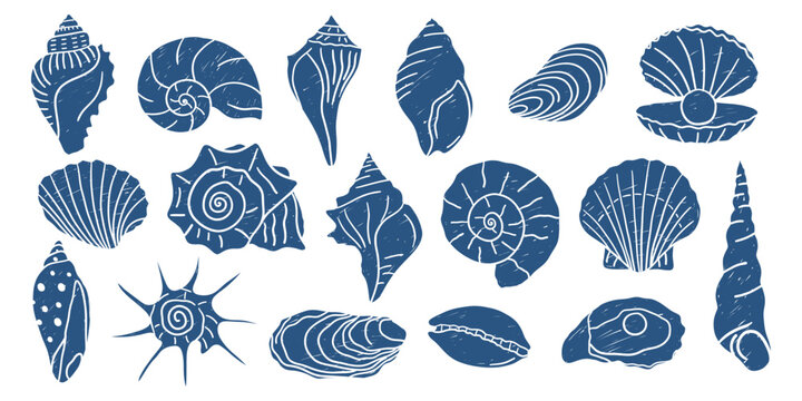 Hand drawn seashell collection. Coastal ocean shell icon set with conch, scallop, nautilus, oyster, clam and spiral shells. Nautical clipart vector illustration.
