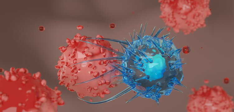Cytotoxic T cells (blue) attack a cancer cell (red). Killer T-cell or B-cell concept. CAR T-Cell Therapy. White blood cells. Natural killer cell. Photo stock