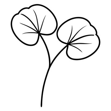 Minimalist gotu kola leaves line art illustration vector