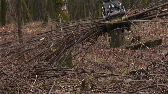 Wood Chipper Processing Branches with Hydraulic Grapple Loader for Biomass Energy. A gripper arm places the remaining wood on the conveyor belt
