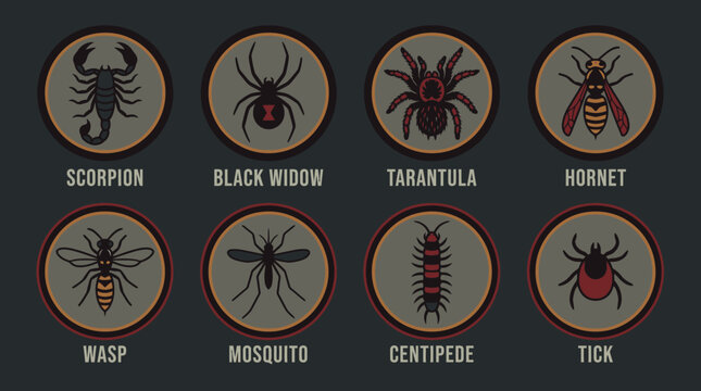 Collection of various poisonous arachnids and insects in circular icons on a dark background viewed from directly above