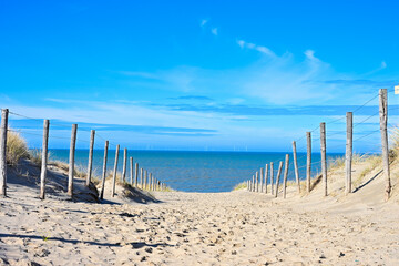 Path Through Sand Dunes with Wooden Fence Posts Leading to the Beach - Scenic Coastal Landscape at Zandvoort Under a Bright Blue Sky, North Holland, Netherlands