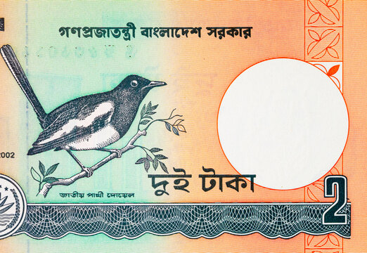 Bangladesh 2 Taka banknote featuring the national bird Magpie-Robin (Doyel). Bangladeshi money. Asian currency.
