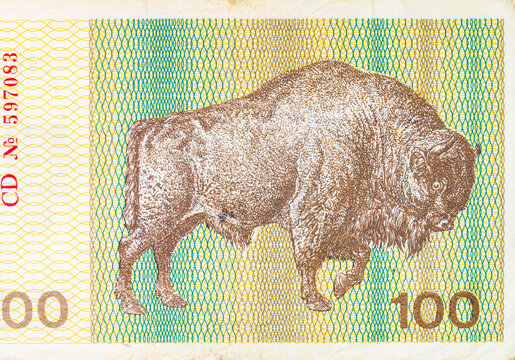 Vintage 100 Lithuanian Talonas Banknote 1992 - Reverse Side Featuring European Bison (Zubr). Money of Lithuania