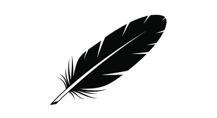 A striking black feather design elegantly captured in silhouette © Golam Rabbi