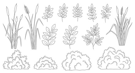 Set of Botanical Outline Elements, Tall Grass, Reeds, Leaves, and Bushes, Natural Foliage Collection, Isolated White Background © Ahmat