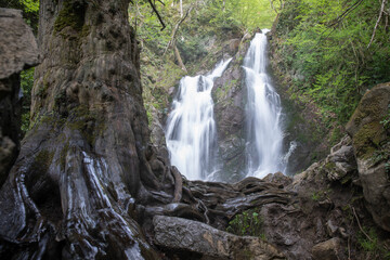 Obraz premium Breathtaking Oylat Waterfall in Lush Green Forest, Bursa, Türkiye