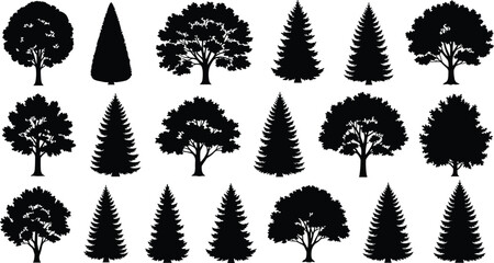 Set of black silhouettes showing different types of deciduous and coniferous trees for forest landscape and nature outdoor garden decoration © Mamun