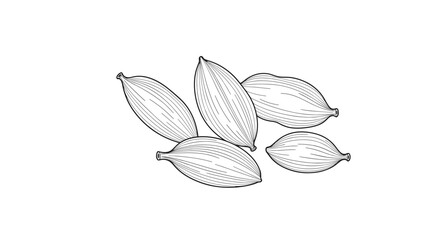 Obraz premium Detailed black and white engraving style illustration showing several cardamom pods with their characteristic textured outer seed shells.