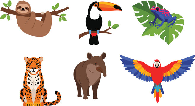 Tropical Rainforest Animal Vector Collection featuring Jaguar, Sloth, Toucan, Scarlet Macaw, Tapir, and Poison Dart Frog on White Background for Wildlife Illustration