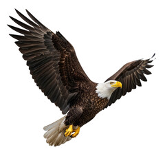 Obraz premium Bald eagle with outstretched wings in flight against a dark void isolated on a transparent background