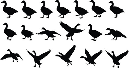 Black Goose Silhouette Collection Featuring Geese In Flight Standing And Walking Poses Set On Isolated White Background For Graphic Design