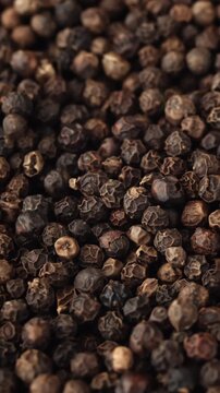 Dark pepper seeds cover frame in macro view revealing rough surface and uneven natural spice texture