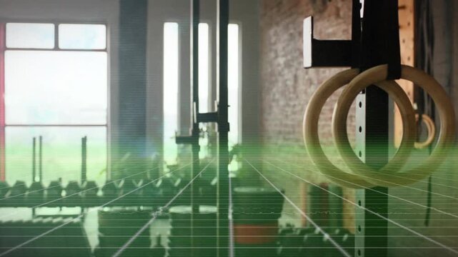 Camera panning, wooden gym rings moving to front against weights and window, grid showing depth