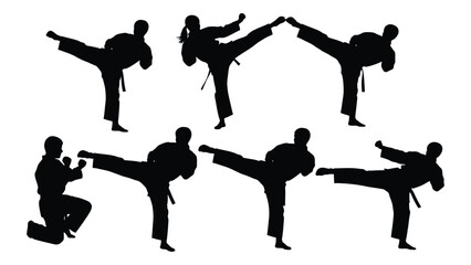 Silhouettes of people performing various karate kicks and punches © SILHUETTECHEMBER