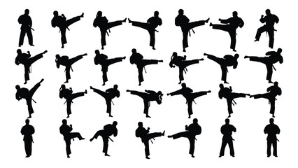Various silhouettes of people performing different karate moves © SILHUETTECHEMBER