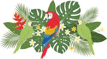 Tropical parrots with jungle leaves and flowers, exotic macaw birds illustration, colorful rainforest wildlife composition, decorative botanical vector design © MstSanoara