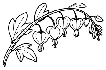 coloring page line art the bleeding heart flower black vector