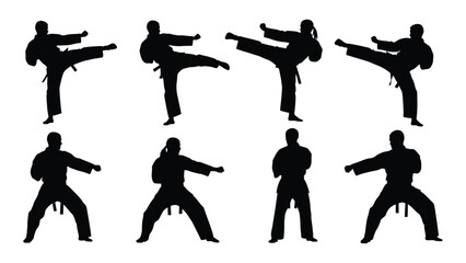 Silhouettes of people performing various karate moves © SILHUETTECHEMBER