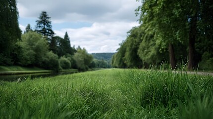 Obraz premium Lush green grass bank beside a calm canal leading into a tree lined valley under a cloudy sky