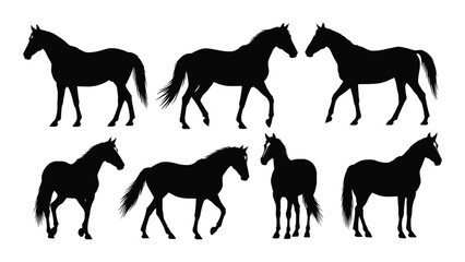 Seven black horse silhouettes in various poses