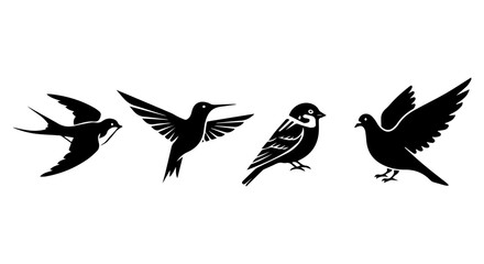 Obraz premium Four stylized black silhouettes of different bird species in flight and perched