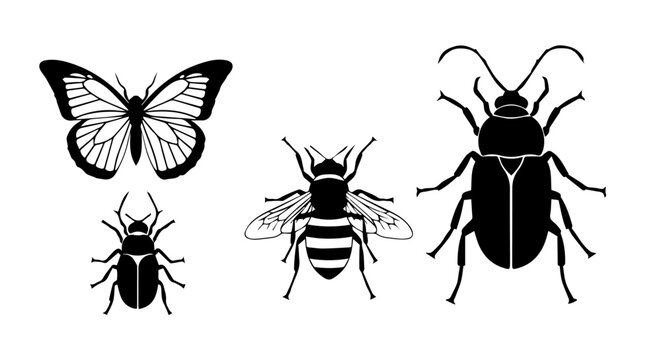 Black and white illustration featuring a butterfly bee and two beetles