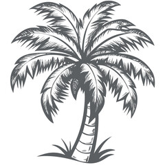 Obraz premium Stylized palm tree illustration in black and white vector art design 