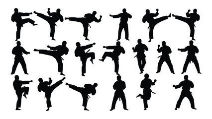 Various black silhouettes of people performing karate kicks and punches © SILHUETTECHEMBER