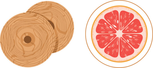 Wood log cross section and grapefruit slice top view natural texture vector illustration © EdGe Creative