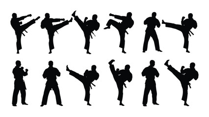 Silhouettes of people performing various karate moves © SILHUETTECHEMBER