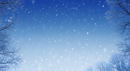 Snowfall on a clear winter night with trees silhouette