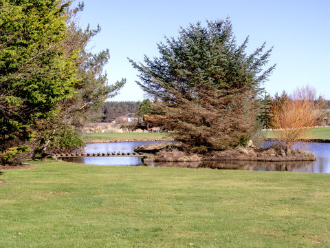 Small island in a pond with a wooden footbridge