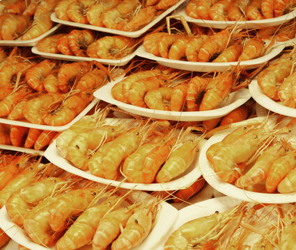 Shrimps prawns delicious sea food meal. Tasty seafood eat concept. 