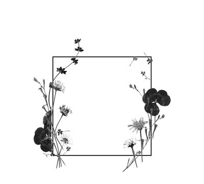 PNG fondo transparente. Etiqueta con ramo decorativo de tr&eacute;boles, plantas y flores secas en blanco y negro. Herbario.