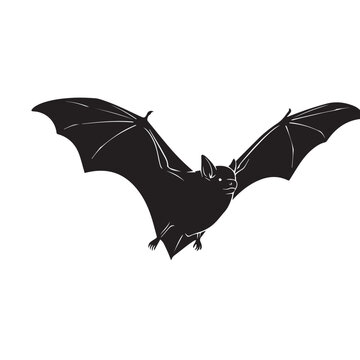 Eastern Red Bat Silhouette Set &ndash; Black and White Vector Illustration

Eastern Red Bat Vector Silhouette Collection &ndash; Isolated Black White Clipart

Flying Eastern Red Bat Silhouettes Pack &ndash; Wildlife Ve