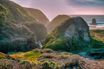 Scenic coastal landscape near Davenport Beach, California, featuring green hills, rugged cliffs, and a narrow valley leading toward the Pacific Ocean under soft natural light © Volodymyr