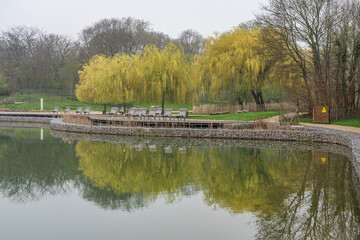 Fototapeta premium Gennevilliers, France - 03 08 2026: Chanteraines park. Nature in spring season. Reflection of weeping willow trees, wooden chairs and vegetation with cloudy sky on the lake
