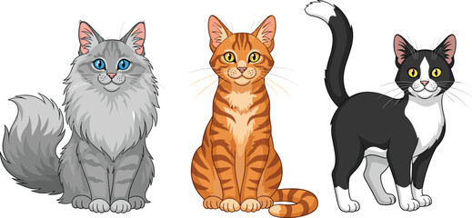 Obraz premium Vector illustration set of three domestic cats featuring a fluffy longhair grey cat an orange tabby cat and a black and white tuxedo cat.