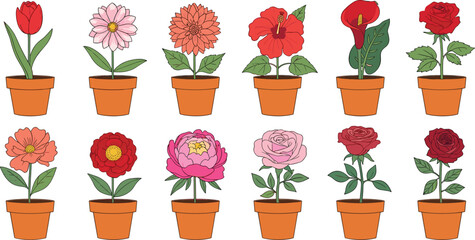 Potted flowers collection tulip daisy chrysanthemum hibiscus calla lily rose peony decorative plants vector set © EdGe Creative