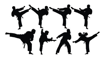 A group of people practicing different karate moves © SILHUETTECHEMBER