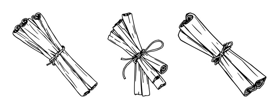 Cinnamon sticks set with black line art bundle tied with twine featuring cinnamon, spice, kitchenware with twine and culinary