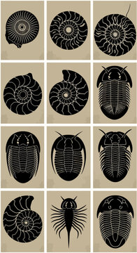 Vintage fossil illustration set of 12 vector icons, prehistoric trilobite and ammonite shell silhouettes, antique biology chart elements